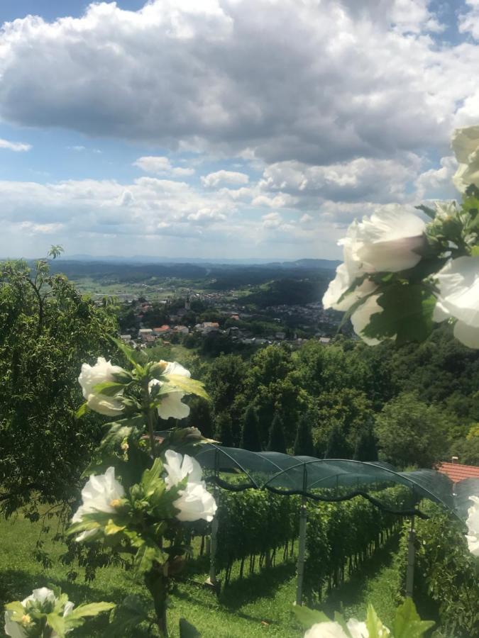Ferienwohnung Kuca Za Odmor Magdalena&V Krapina Exterior foto