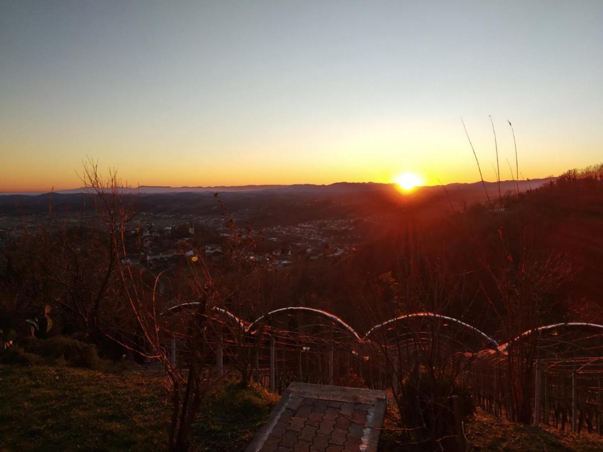 Ferienwohnung Kuca Za Odmor Magdalena&V Krapina Exterior foto